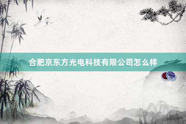 合肥京东方光电科技有限公司怎么样
